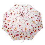 Heart 2014 0603 Folding Umbrellas