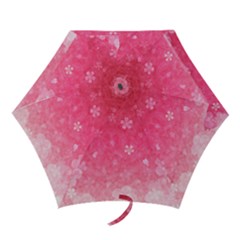 Sample4 Mini Folding Umbrella