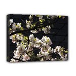 Japanese cherry flower Deluxe Canvas 16  x 12  