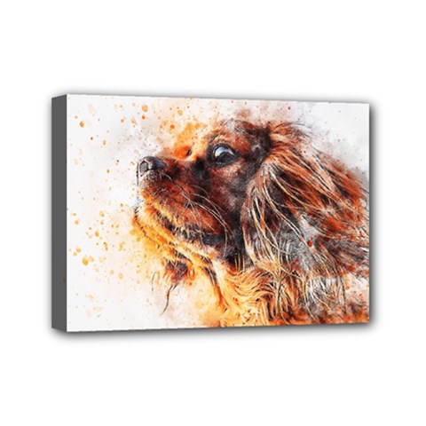 Dog Animal Pet Art Abstract Mini Canvas 7  X 5 