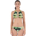 In The Nest And Around 4 Perfectly Cut Out Bikini Set View1