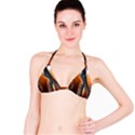 Fractal Structure Mathematics Bikini Top View1