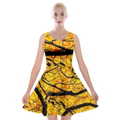 Golden Vein Velvet Skater Dress