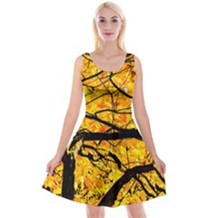 Golden Vein Reversible Velvet Sleeveless Dress