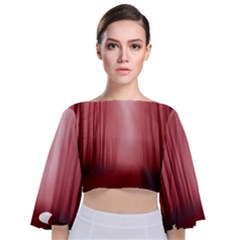 Redforest Tie Back Butterfly Sleeve Chiffon Top