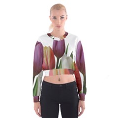 Tulips Bouquet Cropped Sweatshirt