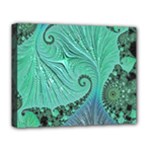 Fractal Artwork Fan Shape Art Deluxe Canvas 20  x 16  (Stretched)