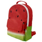 Juicy Paint texture Watermelon red and green watercolor Flap Pocket Backpack (Small)