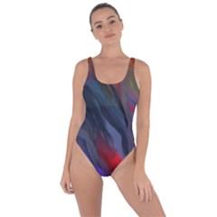 Abstract Paint Painting Watercolor Bring Sexy Back Swimsuit