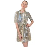 String Of Lights Christmas Festive Party Belted Shirt Dress