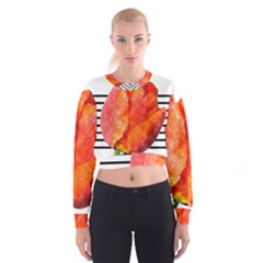 Tulip Watercolor Red And Black Stripes Cropped Sweatshirt