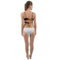 Colorful Confetti Stars Paper Particles Scattering Randomly Dark Background With Explosion Golden St Wrap Around Bikini Top View2