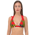 SERIPPY Double Strap Halter Bikini Top