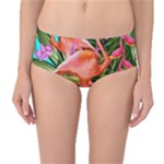 Exotisme Mid-Waist Bikini Bottoms