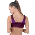 395ff2db-a121-4794-9700-0fdcff754082 Front Tie Bikini Top View2