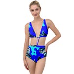 Abstract Tropical Tied Up Two Piece Swimsuit