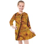 Leaf Leaf Veins Fall Kids  Quarter Sleeve Shirt Dress