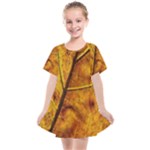 Leaf Leaf Veins Fall Kids  Smock Dress