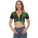 Beeches Trees Tree Lawn Forest Nature Twist Front Crop Top View1