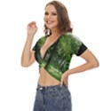 Beeches Trees Tree Lawn Forest Nature Twist Front Crop Top View2