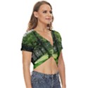 Beeches Trees Tree Lawn Forest Nature Twist Front Crop Top View3