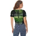 Beeches Trees Tree Lawn Forest Nature Twist Front Crop Top View4