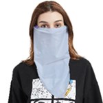 Valentine Day Heart Pattern Capsule Face Covering Bandana (Triangle)