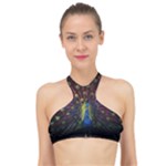 Peacock Feathers High Neck Bikini Top