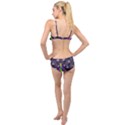 Peacock Bird Color Layered Top Bikini Set View2