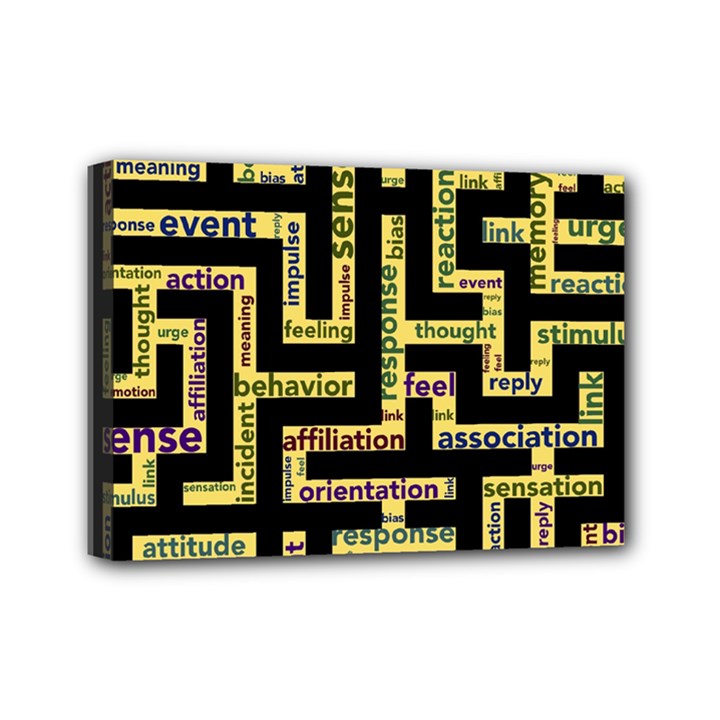 Mindset Stimulus Response Emotion Mini Canvas 7  x 5  (Stretched)