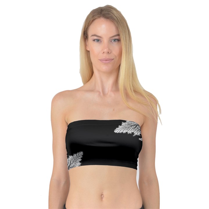 Abstract Complex Fractal Math Bandeau Top