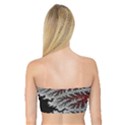 Abstract Complex Fractal Math Bandeau Top View2