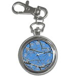 Leafless Tree Branches Against Blue Sky Key Chain Watches Front