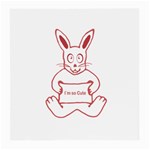Cute Rabbit With I M So Cute Text Banner Medium Glasses Cloth