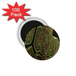 Fractal Complexity 3d Dimensional 1.75  Magnets (100 pack) 
