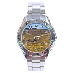 Group Of Vicunas At Patagonian Landscape, Argentina Stainless Steel Analogue Watch