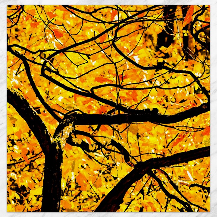 Golden Vein Canvas 12  x 12  
