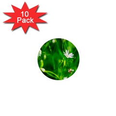 Inside The Grass 1  Mini Buttons (10 Pack) 