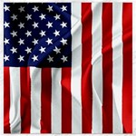 American Usa Flag Vertical Canvas 16  x 16  