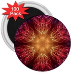 Fractal Abstract Artistic 3  Magnets (100 pack)