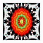 Abstract Kaleidoscope Colored Medium Glasses Cloth (2-Side)