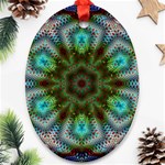 Abstract Art Background Flames Oval Ornament (Two Sides)