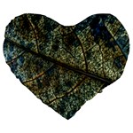 Leaf Leaves Fall Foliage Structure Large 19  Premium Heart Shape Cushions