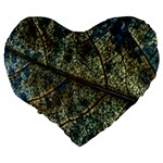 Leaf Leaves Fall Foliage Structure Large 19  Premium Heart Shape Cushions Back