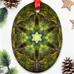 Fractal fantasy design background Ornament (Oval)