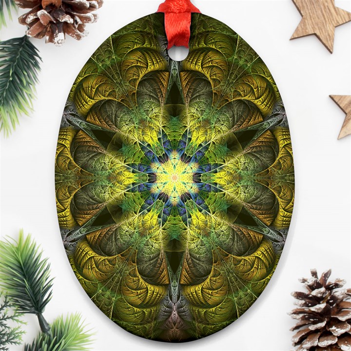 Fractal fantasy design background Ornament (Oval)