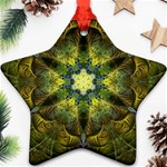 Fractal fantasy design background Ornament (Star)