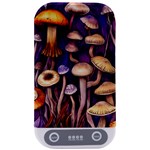 Whimsical Forest Mushroom Sterilizers