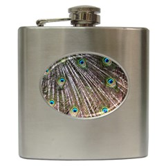 Peacock-feathers-pattern-colorful Hip Flask (6 Oz)