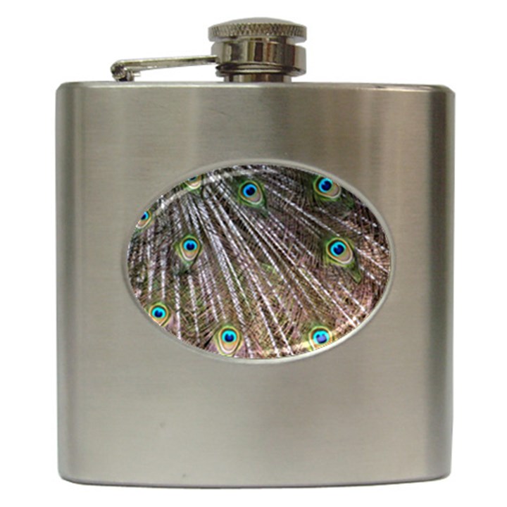 Peacock-feathers-pattern-colorful Hip Flask (6 oz)